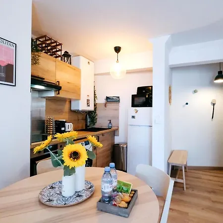 Apartamento Le Typographe ~ St Cyprien ~ Balcon Toulouse